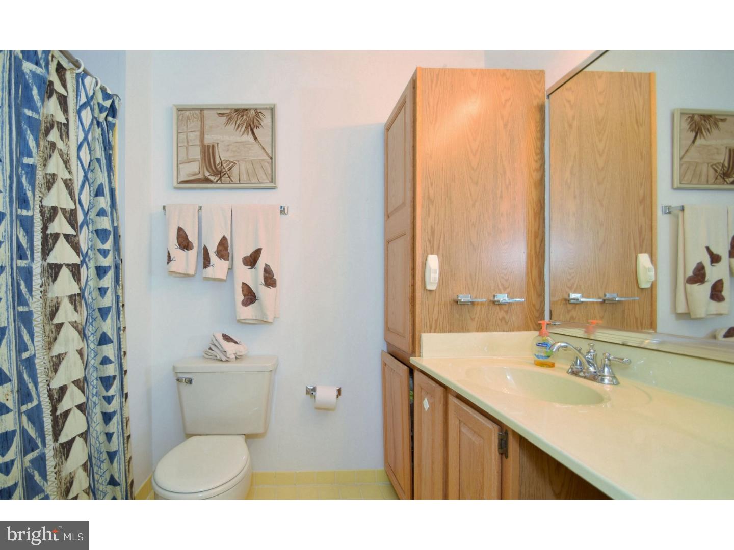 27 Main Street Wayne, PA 19087 - Photo 16 of 23 Bathroom