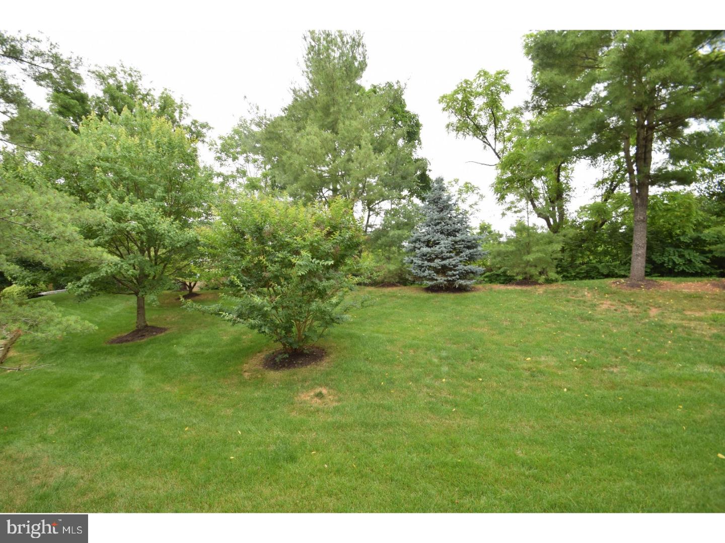 27 Main Street Wayne, PA 19087 - Photo 23 of 23 Back Yard