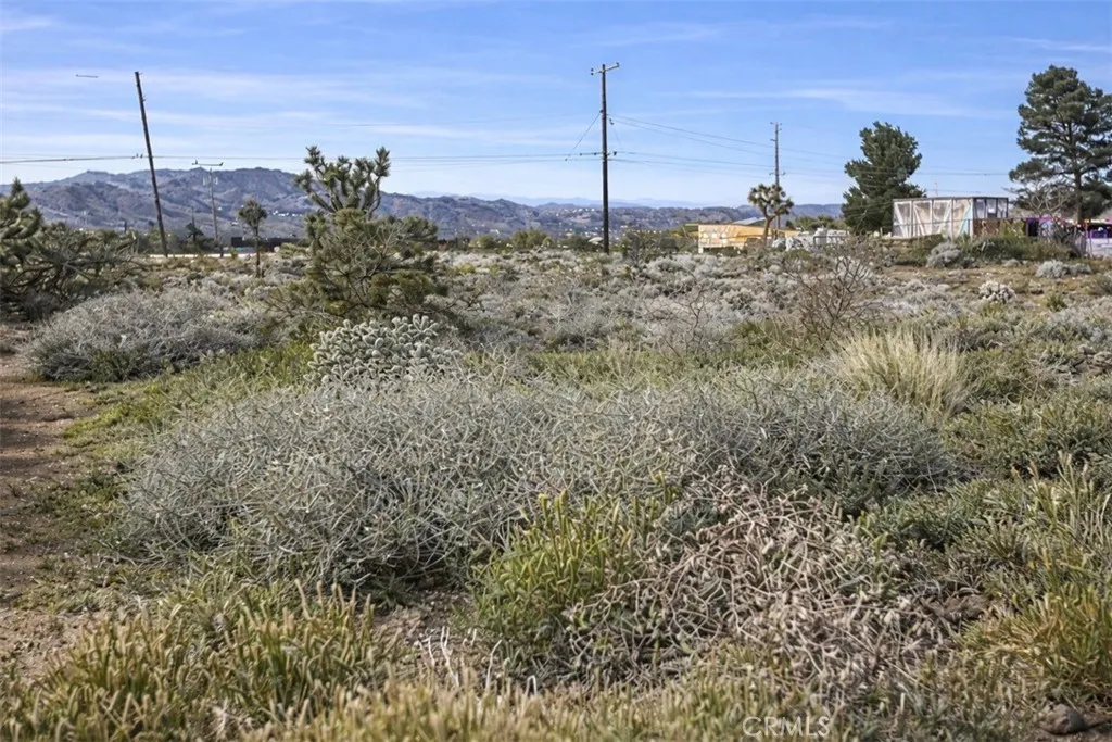 0 Natoma Joshua Tree, CA 92252 - Photo 3 of 5