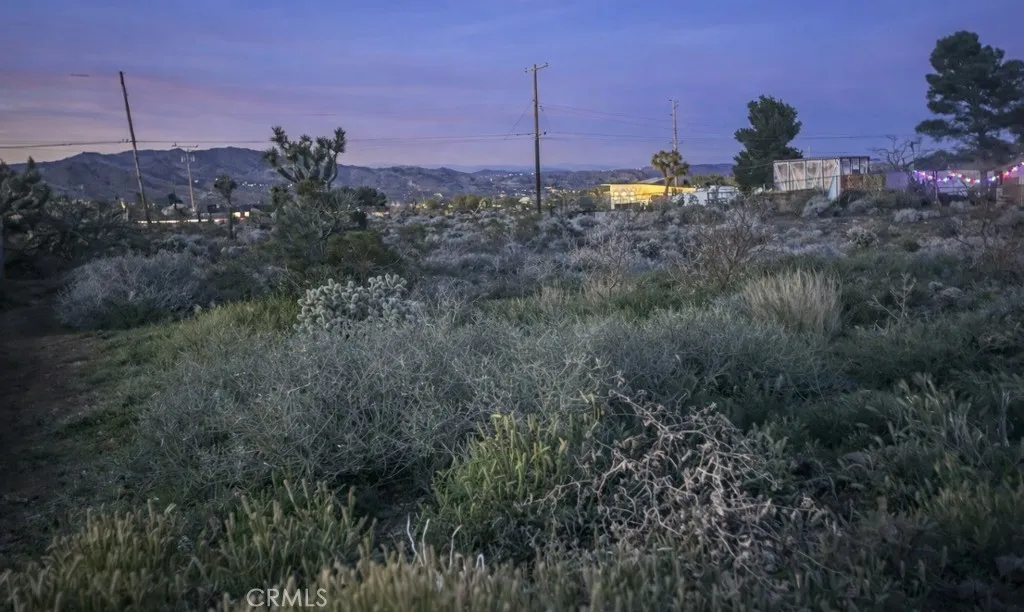 0 Natoma Joshua Tree, CA 92252 - Photo 4 of 5