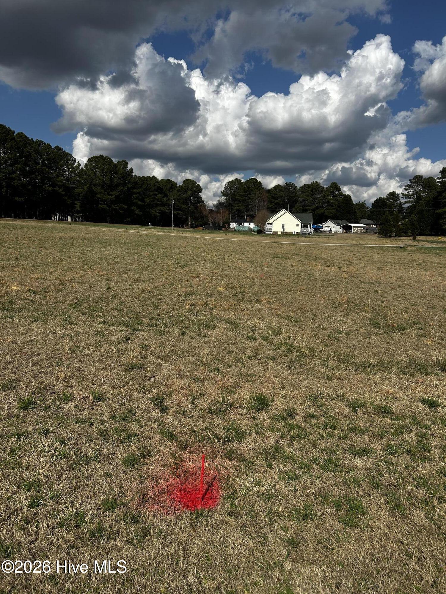 954 Blue Pond Road Clayton, NC 27520 - Photo 2 of 7 lot is well marked with red paint