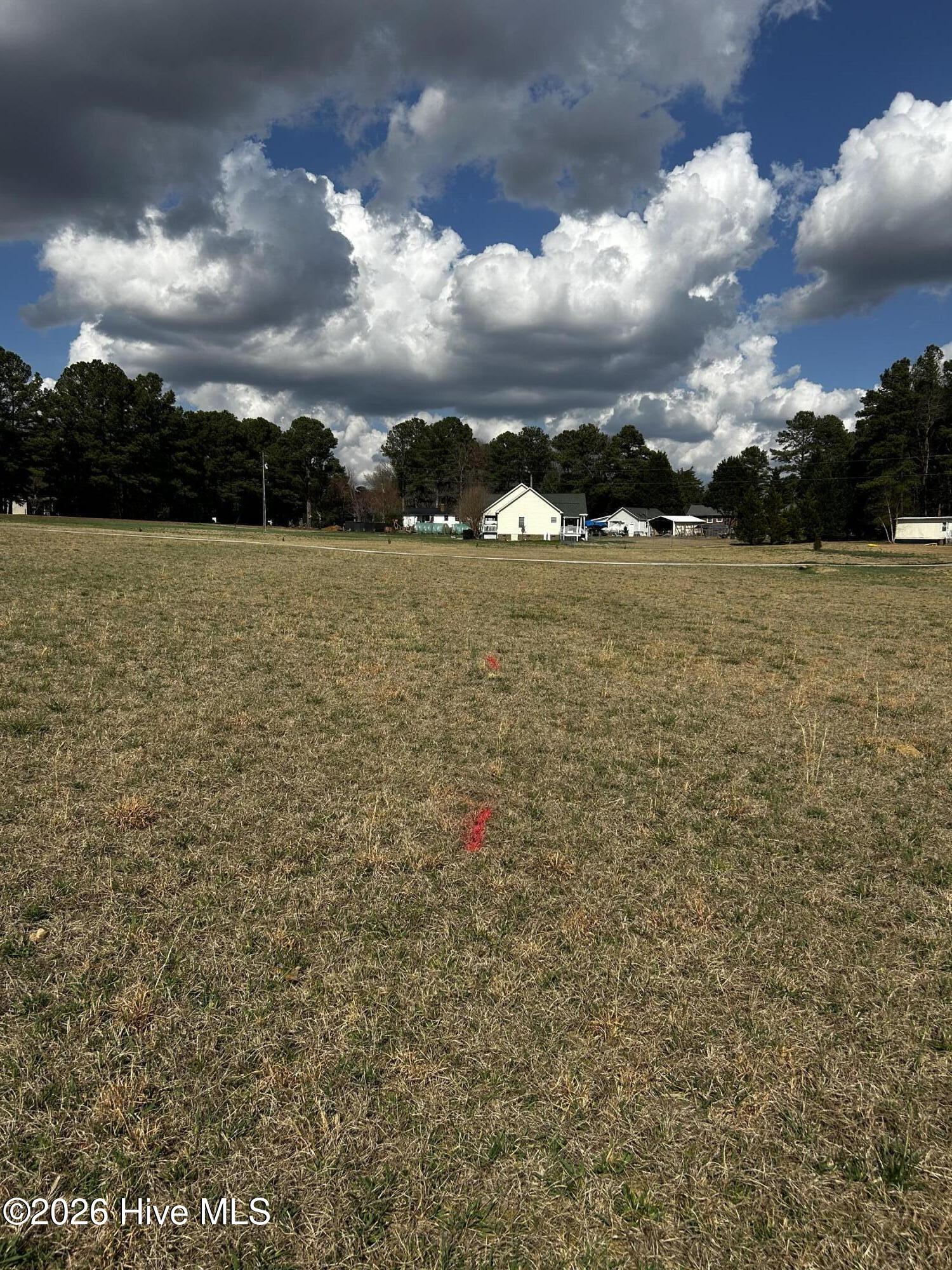 954 Blue Pond Road Clayton, NC 27520 - Photo 4 of 7 IMG_3818