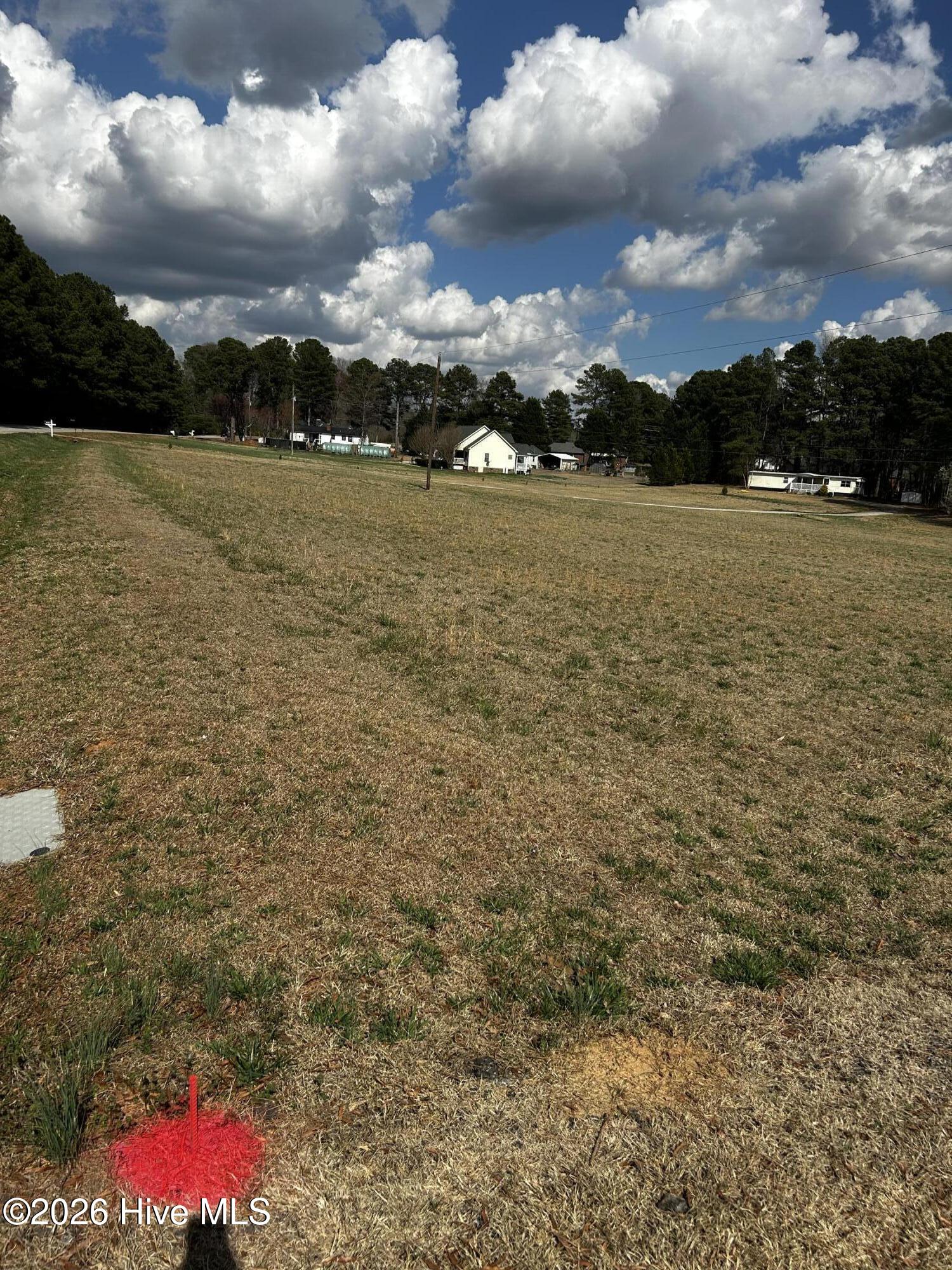 954 Blue Pond Road Clayton, NC 27520 - Photo 5 of 7 IMG_3819