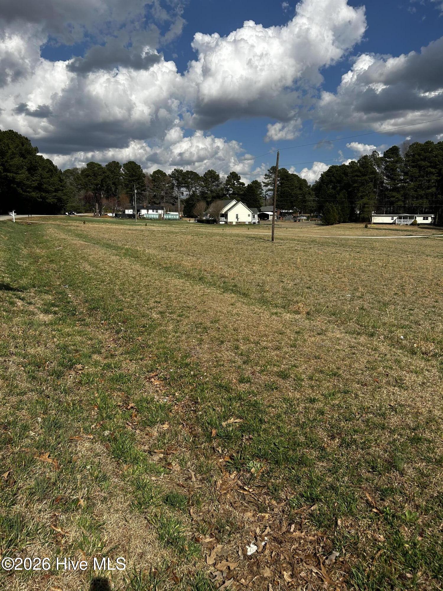 954 Blue Pond Road Clayton, NC 27520 - Photo 7 of 7 IMG_3821