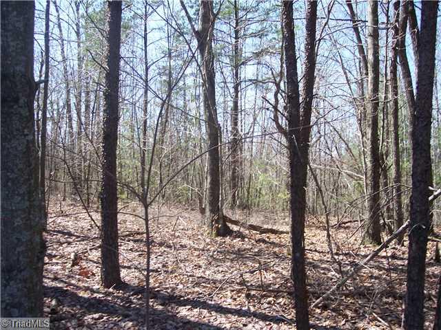 0 Reely Cook Road Dobson, NC 27017 - Photo 1 of 5 Land.