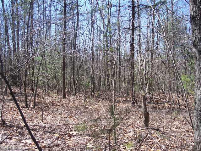 0 Reely Cook Road Dobson, NC 27017 - Photo 2 of 5 Land.