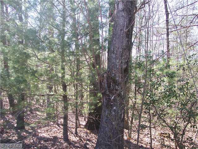 0 Reely Cook Road Dobson, NC 27017 - Photo 3 of 5 Land.