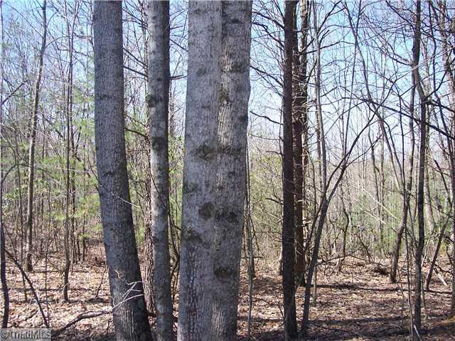 0 Reely Cook Road Dobson, NC 27017 - Photo 4 of 5 Land.