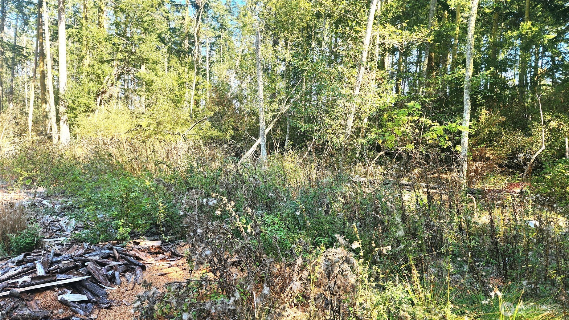 1976 North Boon Road Oak Harbor, WA 98277 - Photo 12 of 15 a view of a yard with plants and wooden fence