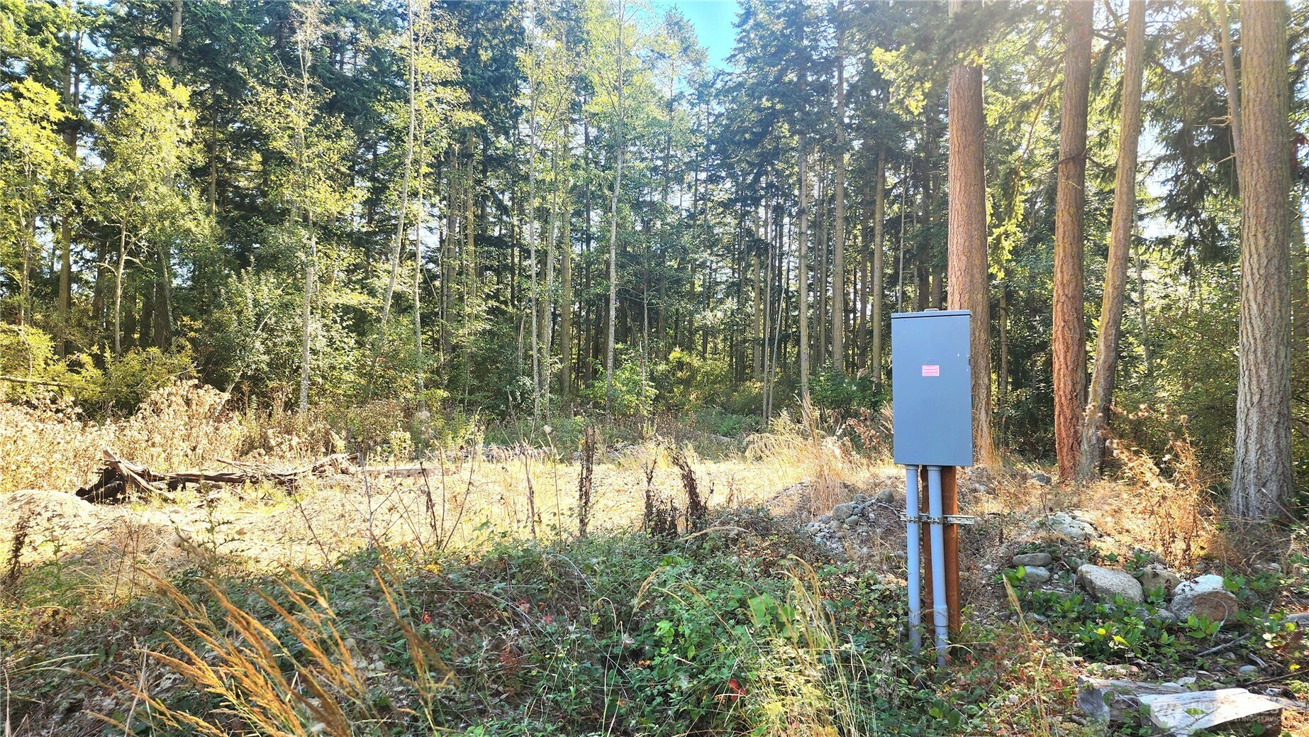 1976 North Boon Road Oak Harbor, WA 98277 - Photo 15 of 15 a picture of trees