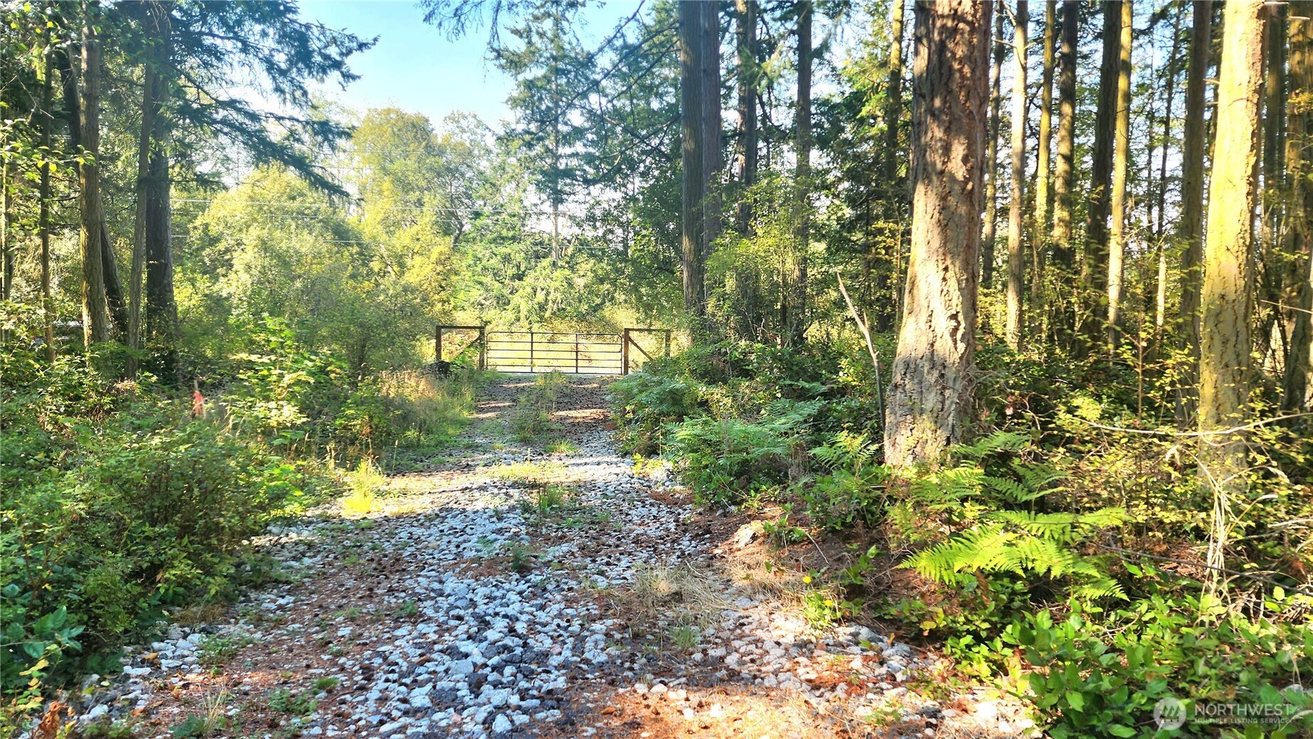 1976 North Boon Road Oak Harbor, WA 98277 - Photo 6 of 15 a view of a yard with plants and large trees