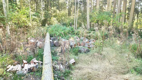 $120,000 | 1976 North Boon Road, Oak Harbor, WA 98277