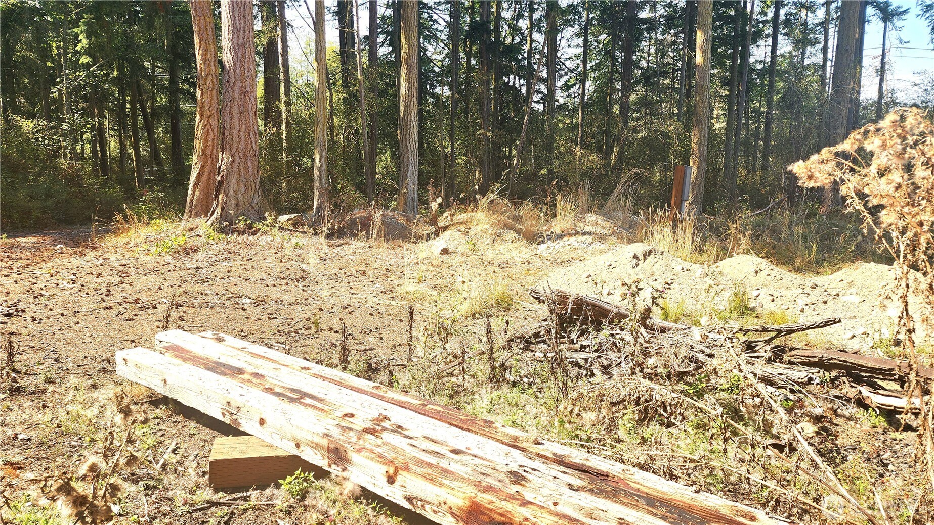 1976 North Boon Road Oak Harbor, WA 98277 - Photo 10 of 15 a view of a yard covered in snow