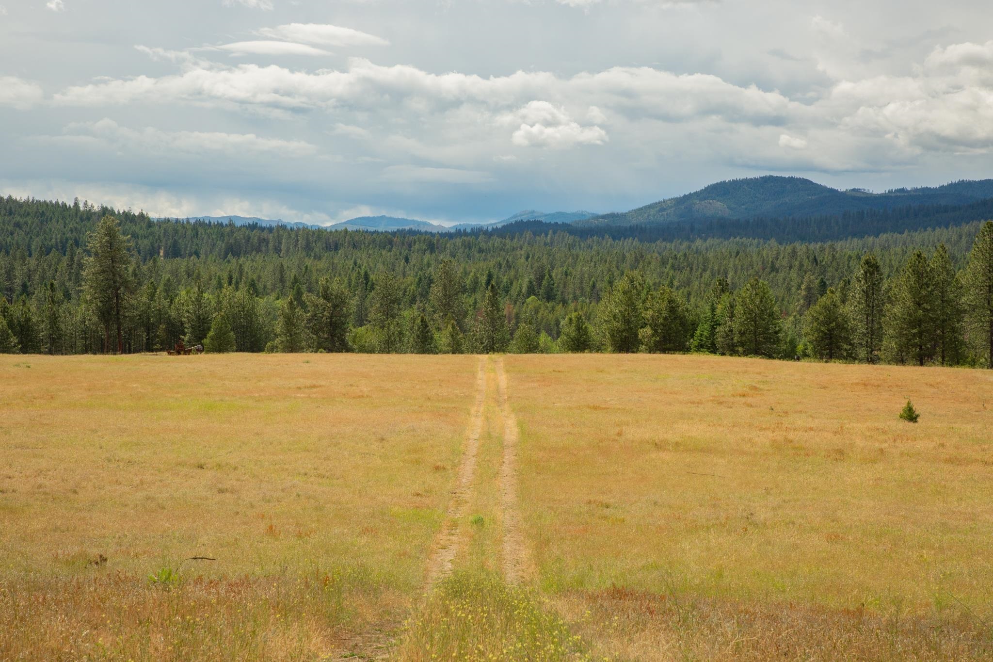 4110 Cemetery Tract Ab Road Springdale, WA 99173 - Photo 10 of 22