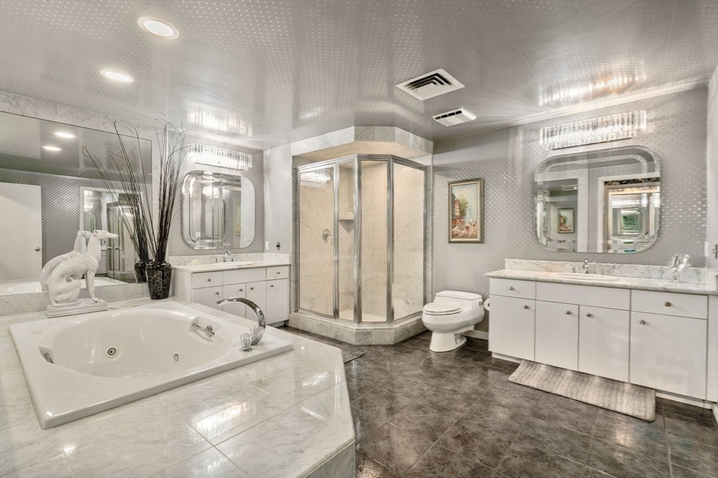 228 Allandale Road, Unit 1B Boston, MA 02467 - Photo 15 of 30 a bathroom with a granite countertop sink mirror bathtub and toilet