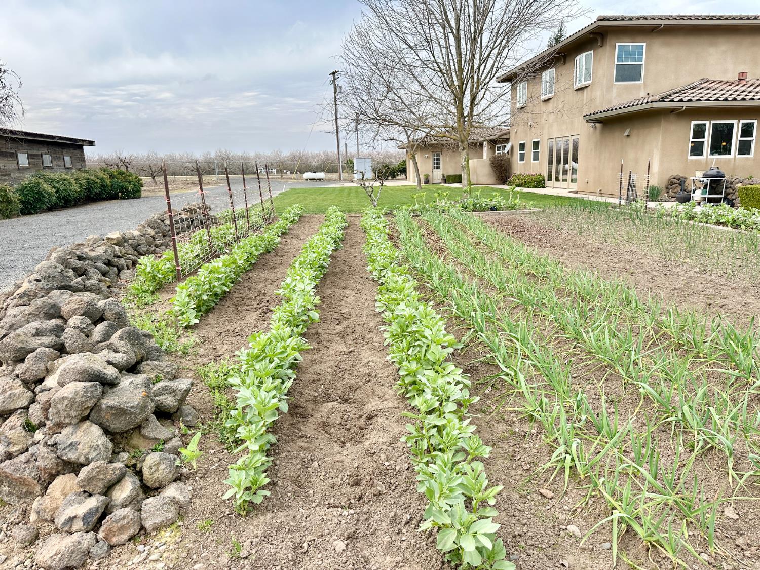 7484 Dusty Lane Modesto, CA 95357 - Photo 27 of 36