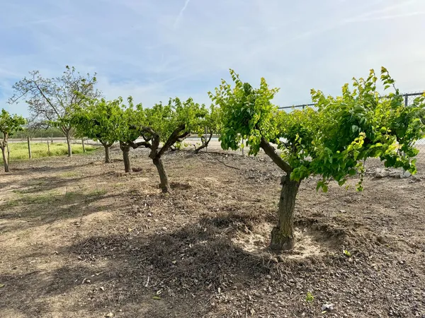 $1,599,000 | 7484 Dusty Lane, Modesto, CA 95357
