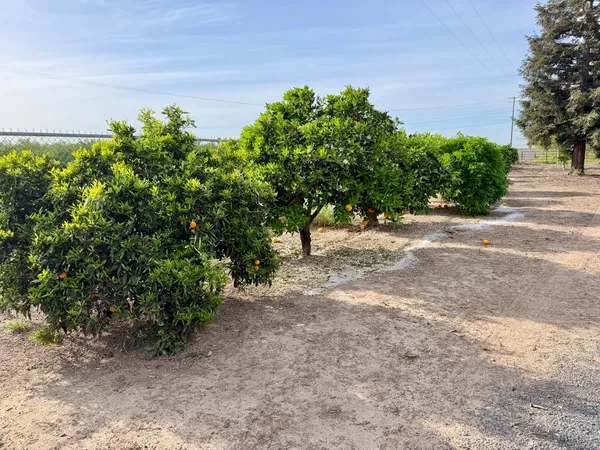 $1,599,000 | 7484 Dusty Lane, Modesto, CA 95357