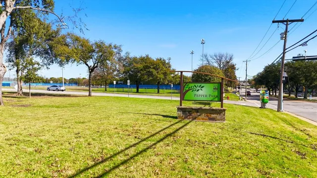 a view of a bunch of trees and bushes