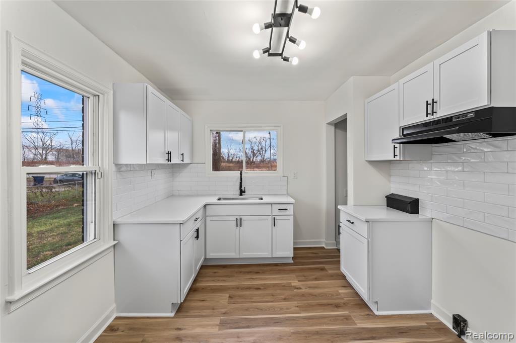 235 Goodell Street River Rouge, MI 48218 - Photo 11 of 40 Gallery Image 11