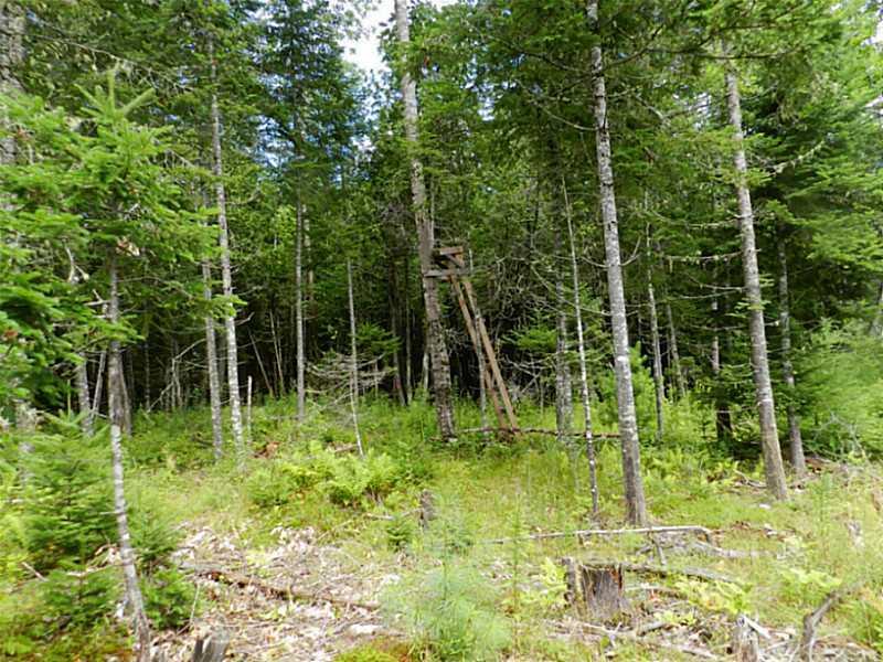 107 Ford Hill Road Hartland, ME 04943 - Photo 6 of 27 Land.