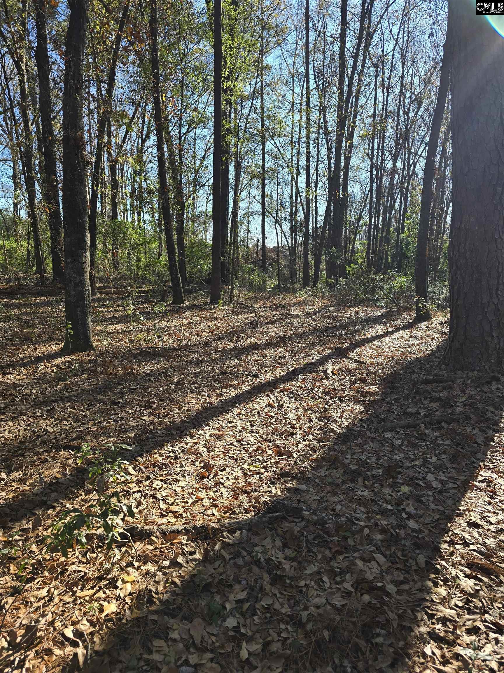 Lot 7-8 Popular Street Cayce, SC 29033 - Photo 5 of 12