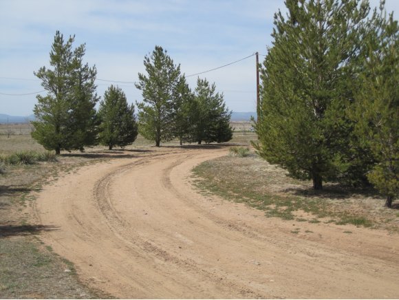 24405 North Big Springs Ranch Road Paulden, AZ 86334 - Photo 4 of 24 Additional Photo