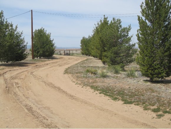 24405 North Big Springs Ranch Road Paulden, AZ 86334 - Photo 5 of 24 Additional Photo
