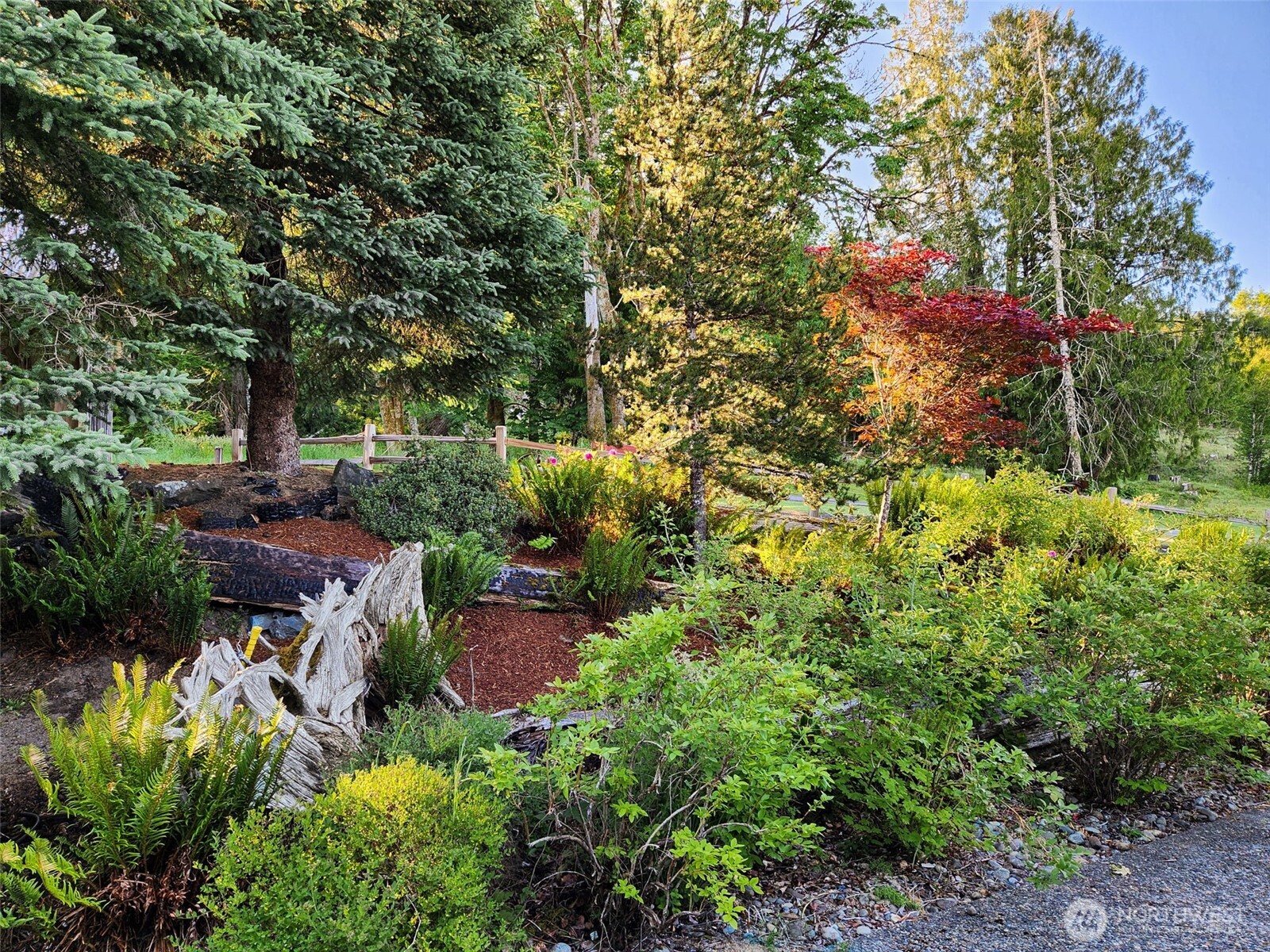65 Wilderness Road Oakville, WA 98568 - Photo 23 of 40 a backyard of a house with lots of green space and a fountain