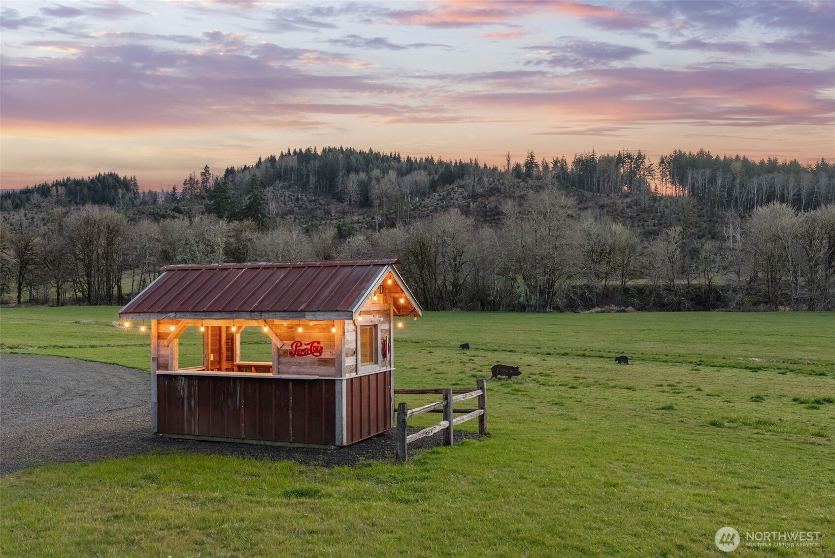 65 Wilderness Road Oakville, WA 98568 - Photo 25 of 40 a view of a yard with a swimming pool
