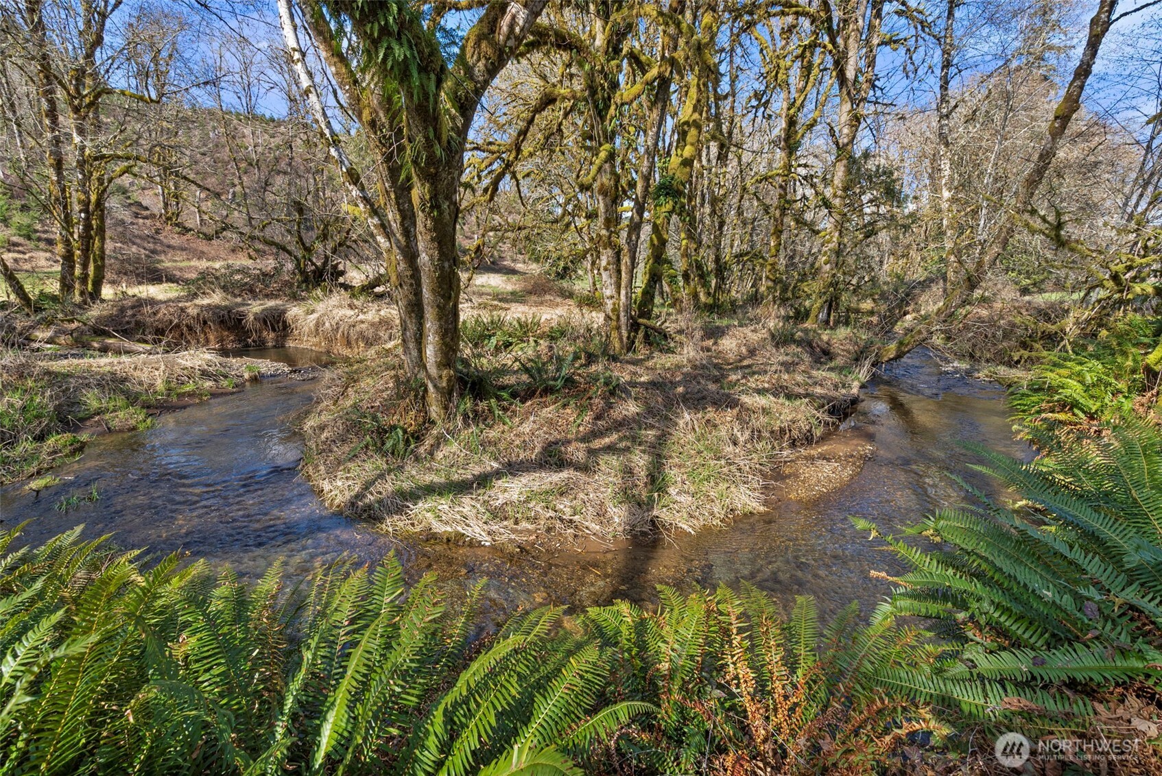 65 Wilderness Road Oakville, WA 98568 - Photo 32 of 40 a backyard of a house with a garden