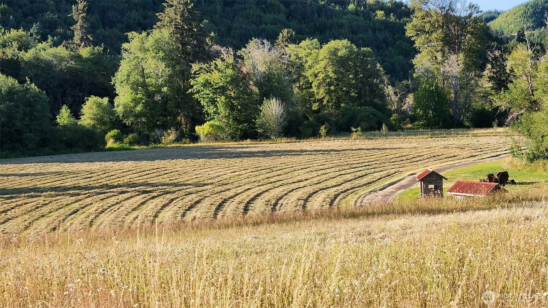 65 Wilderness Road Oakville, WA 98568 - Photo 37 of 40 a view of a lake
