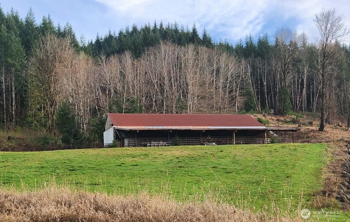 65 Wilderness Road Oakville, WA 98568 - Photo 38 of 40 a view of swimming pool with a yard and large tree