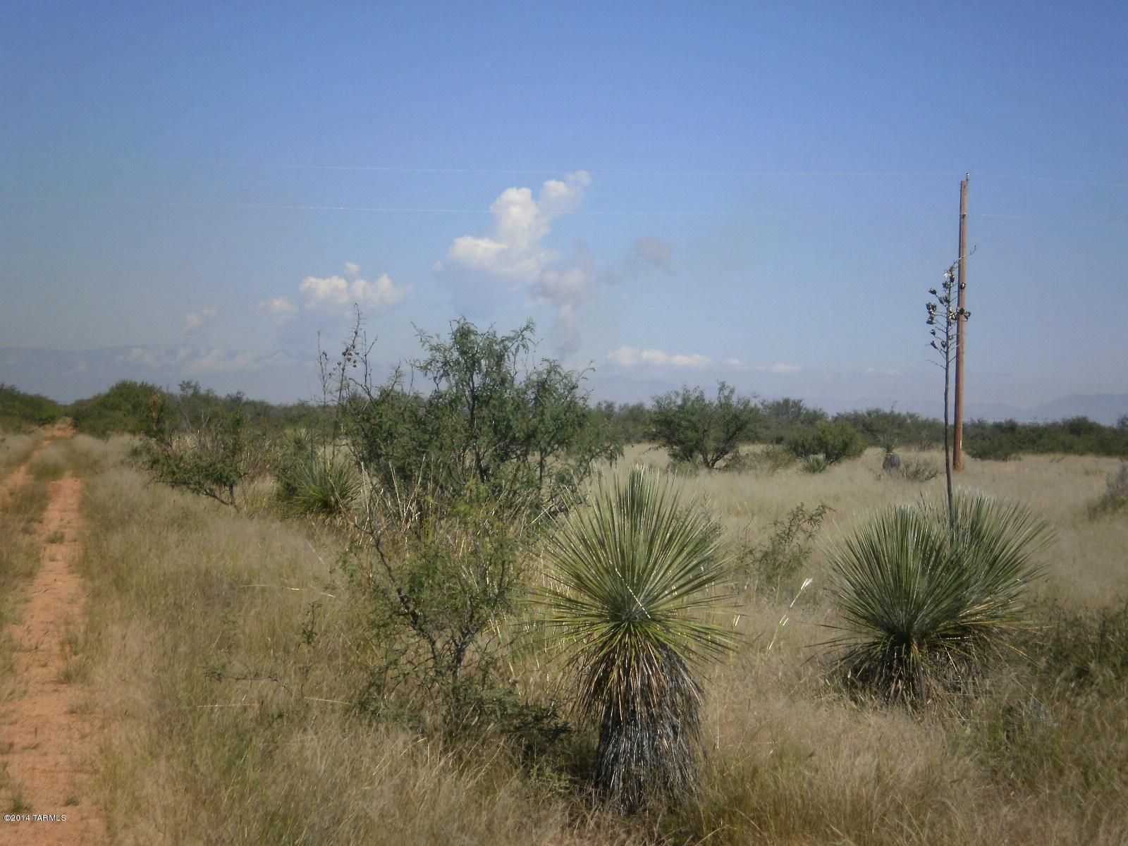 4 Lots On N Palm Road Cochise, AZ 85606 - Photo 9 of 22