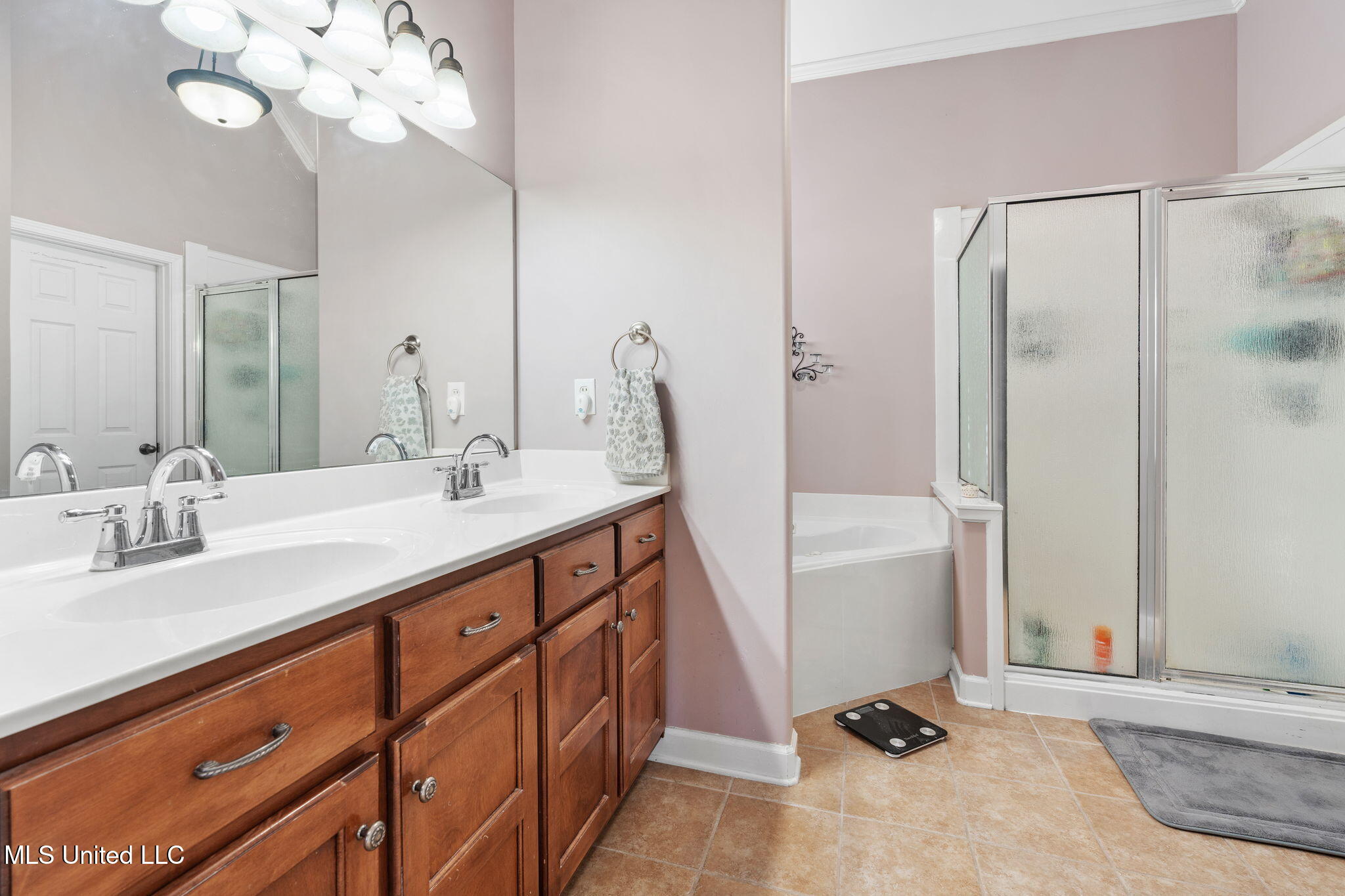 69 Lake Pointe Drive Hernando, MS 38632 - Photo 16 of 27 Master Bathroom