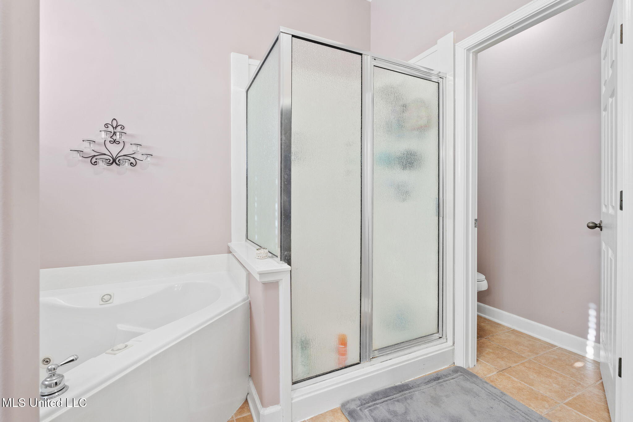 69 Lake Pointe Drive Hernando, MS 38632 - Photo 17 of 27 Shower and Bathtub