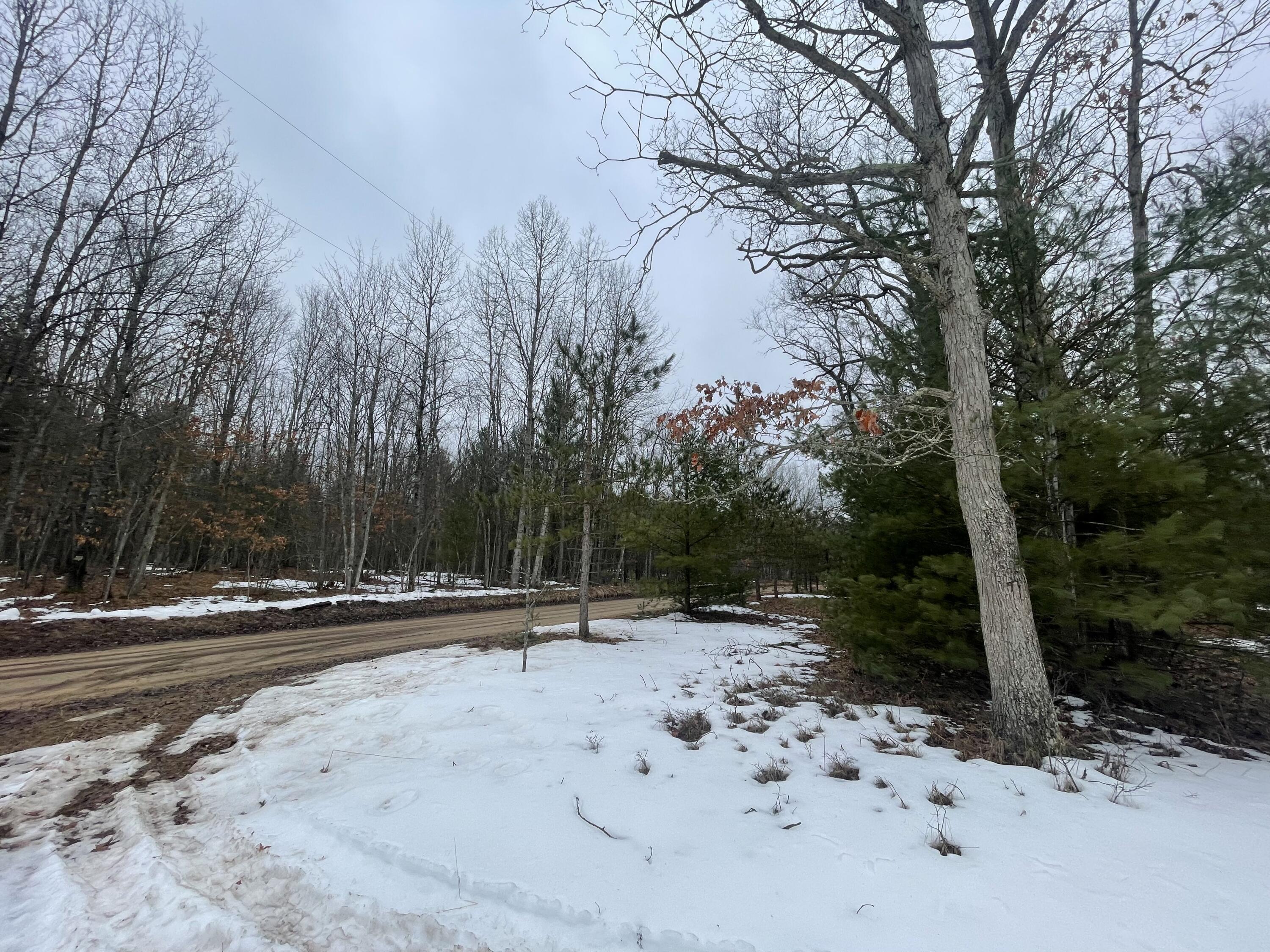 Parcel B North Mac Road Irons, MI 49644 - Photo 2 of 10 1
