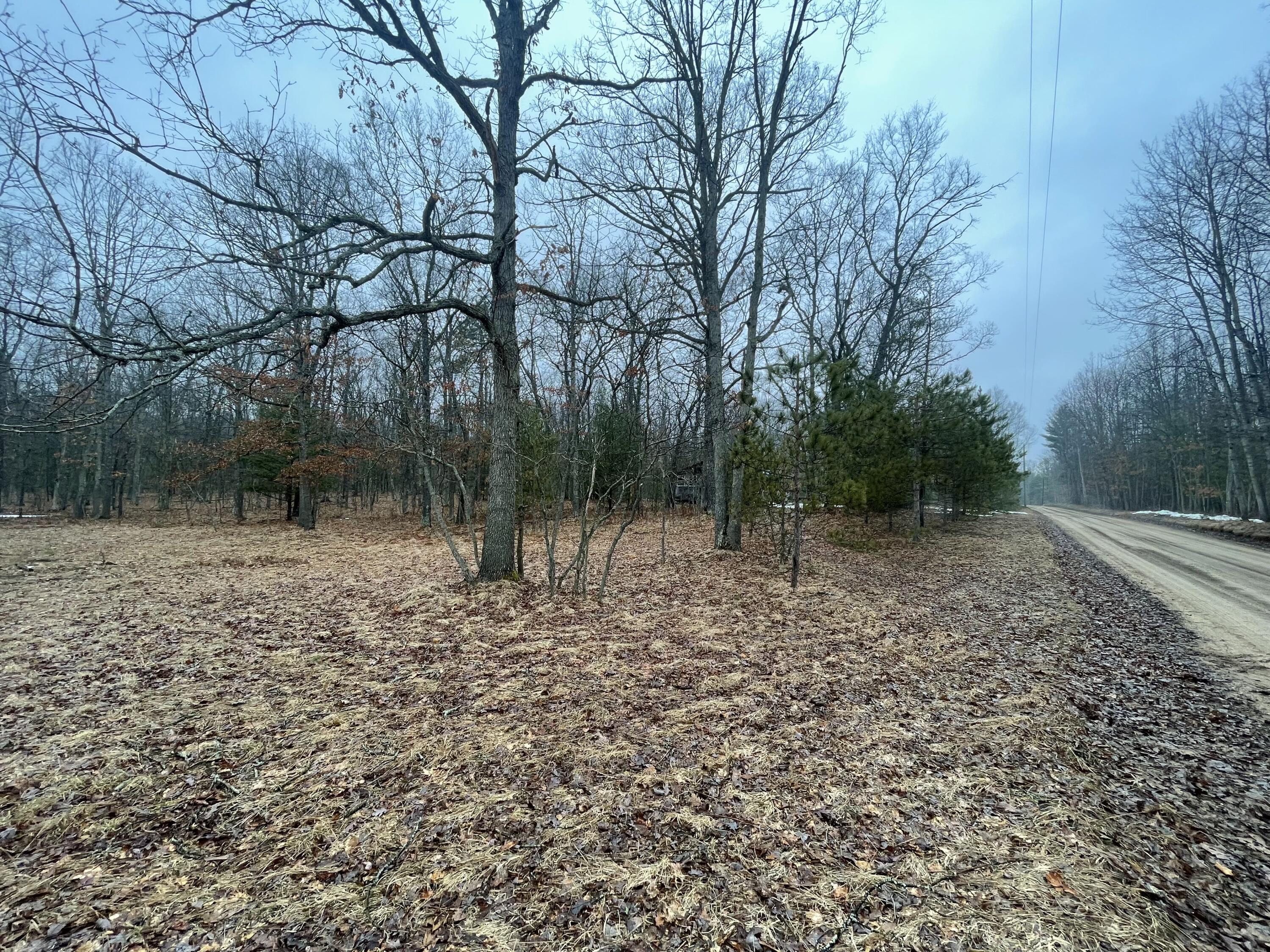 Parcel B North Mac Road Irons, MI 49644 - Photo 3 of 10 2