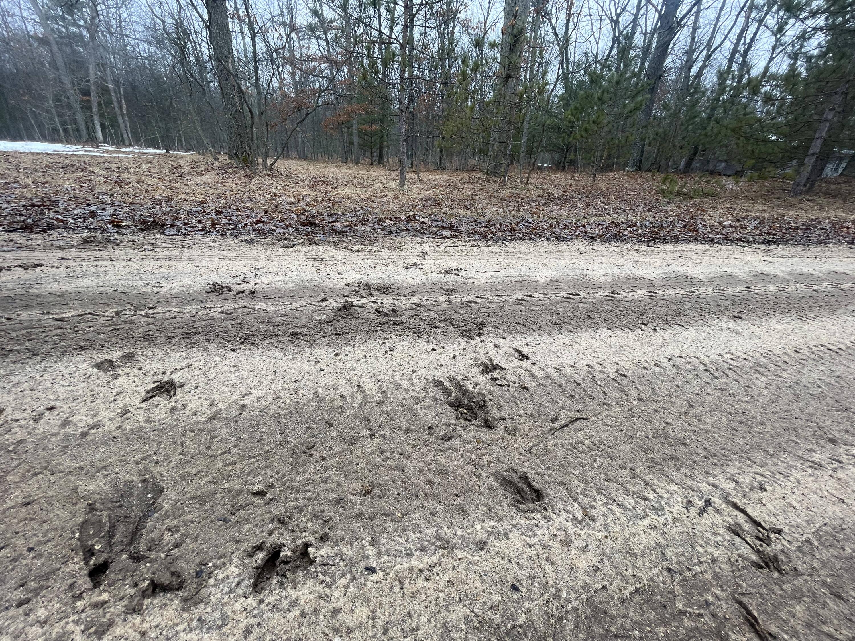 Parcel B North Mac Road Irons, MI 49644 - Photo 6 of 10 5