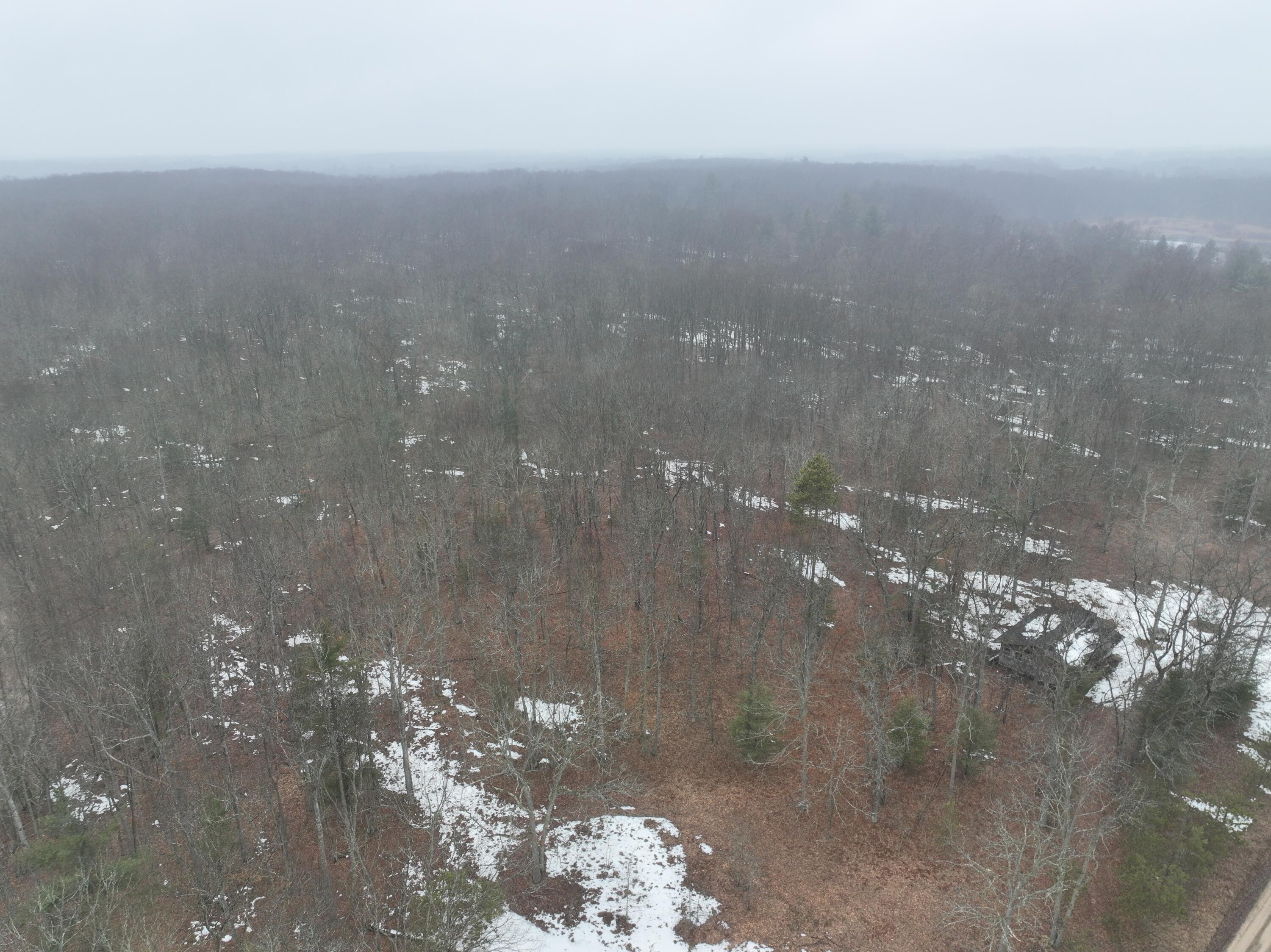 Parcel B North Mac Road Irons, MI 49644 - Photo 8 of 10 9