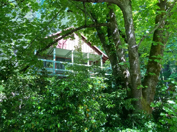 $420,000 | 634 Alta Power House Road, Alta, CA 95701