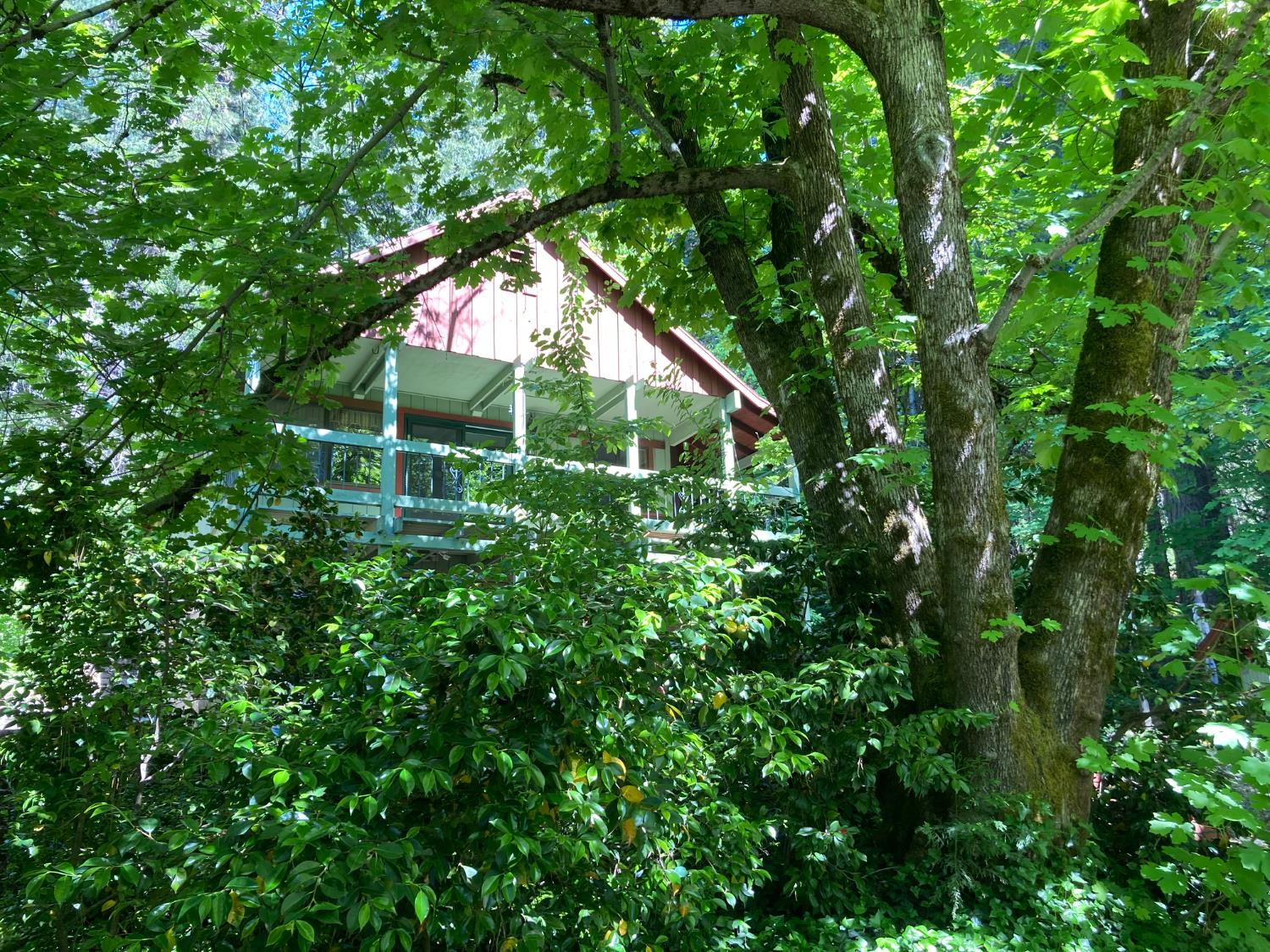 634 Alta Power House Road Alta, CA 95701 - Photo 2 of 38 a backyard of a house with plants and tree