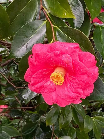 a view of a house with snow on the road