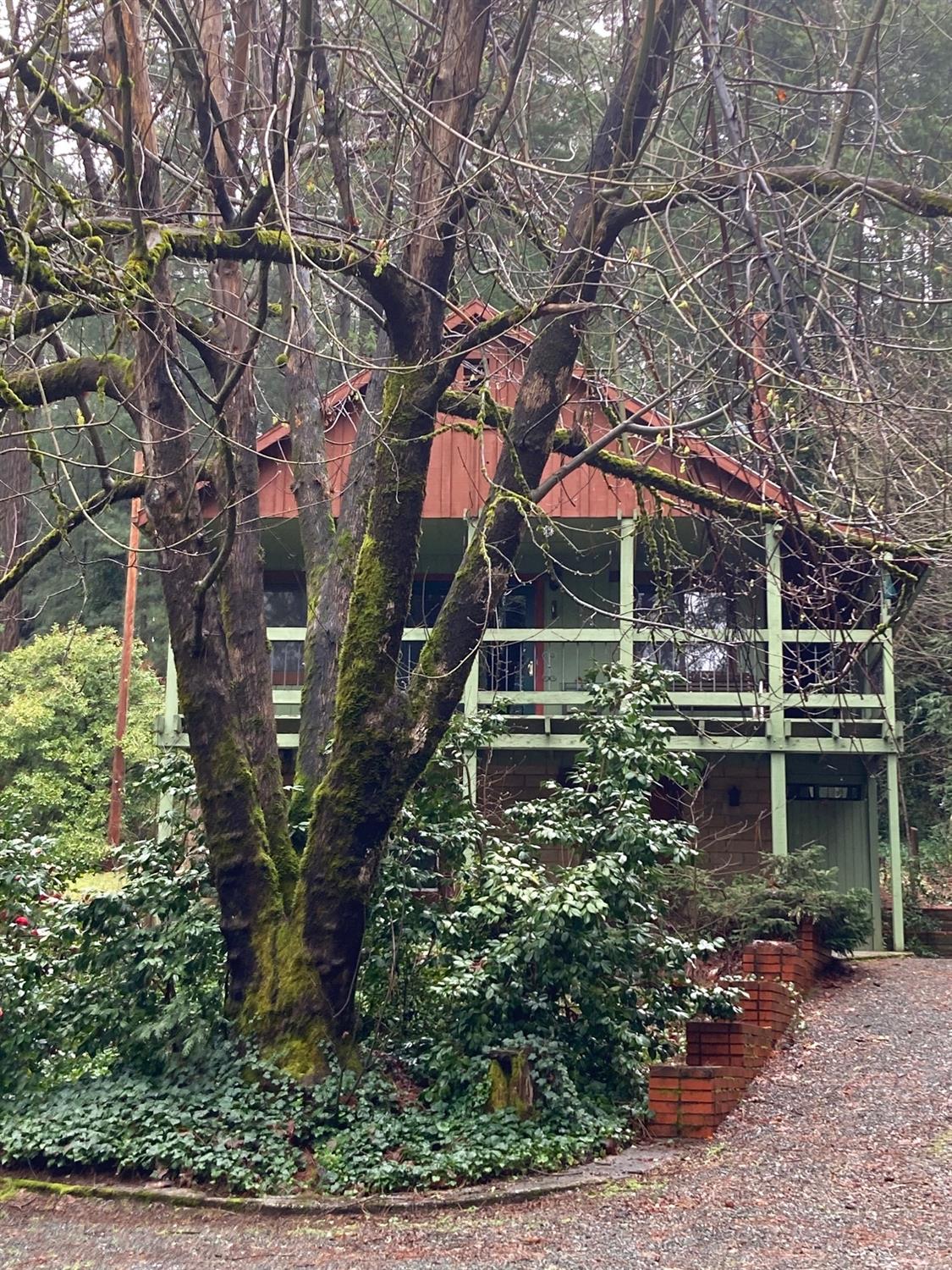 634 Alta Power House Road Alta, CA 95701 - Photo 35 of 38 a backyard of a house with lots of green space