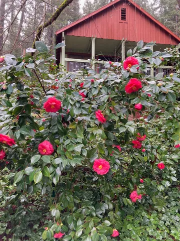 $435,000 | 634 Alta Power House Road, Alta, CA 95701