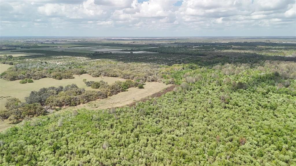 Gillette Road Zolfo Springs, FL 33890 - Photo 60 of 86 Gallery Image 60