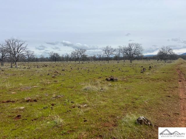 Buffalo Road Anderson, CA 96007 - Photo 2 of 8