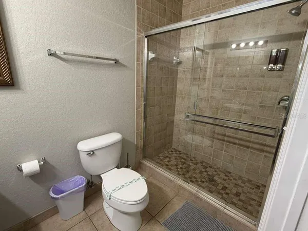 a bathroom with a shower and a toilet