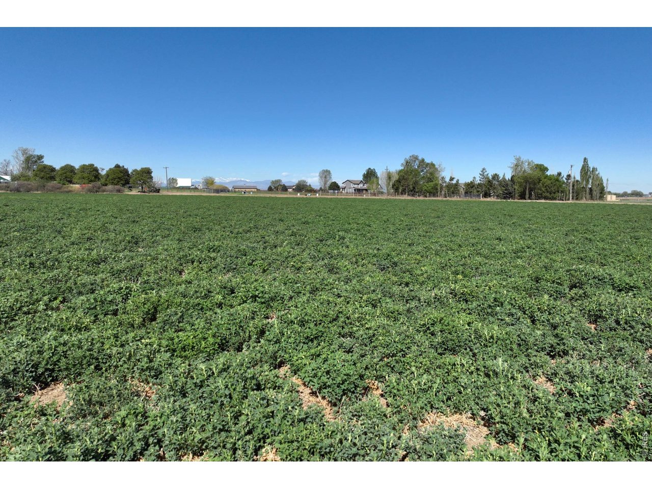 66 County Road Greeley, CO 80631 - Photo 19 of 23