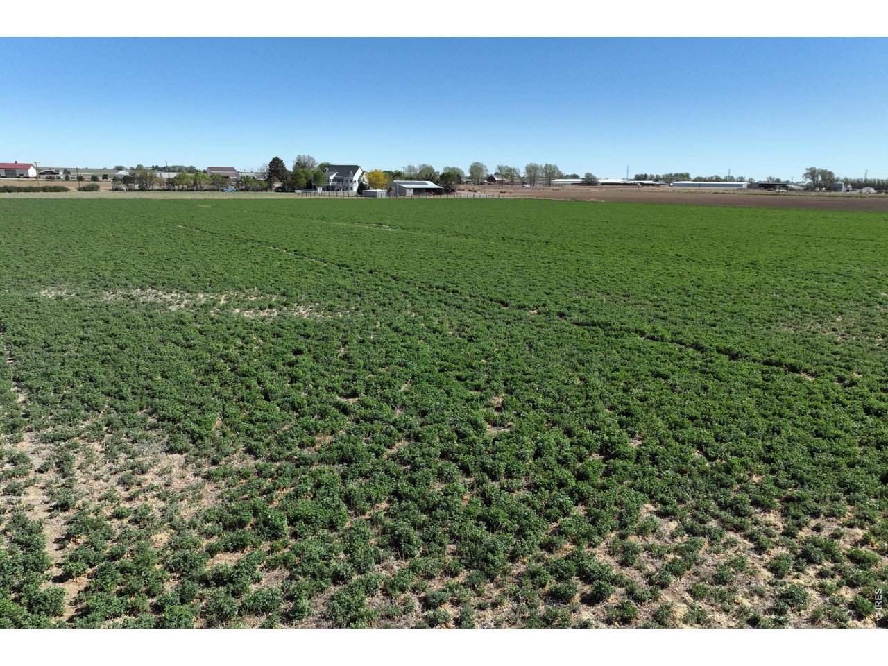 66 County Road Greeley, CO 80631 - Photo 20 of 23